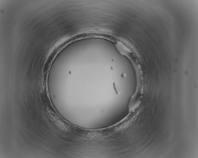 X0000084550974200703091715