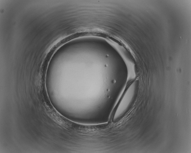 X0000084550975200703091715