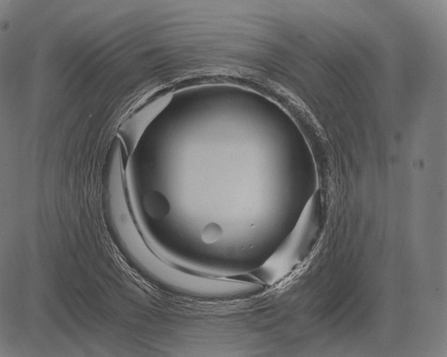 X0000084550977200703091715