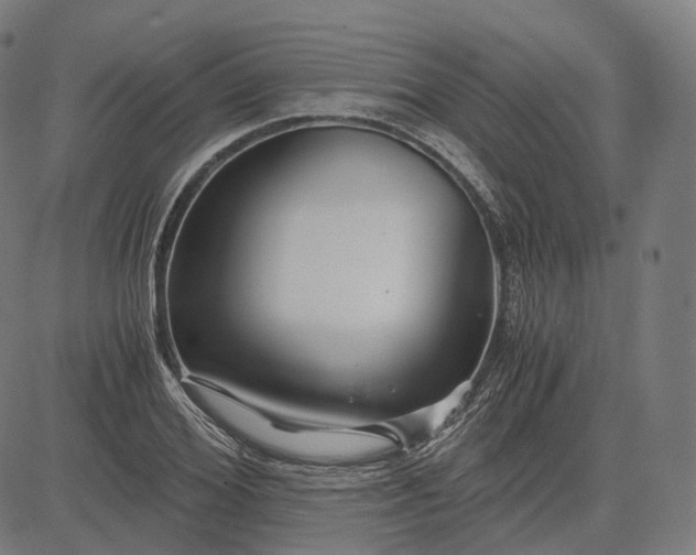 X0000084550980200703091715