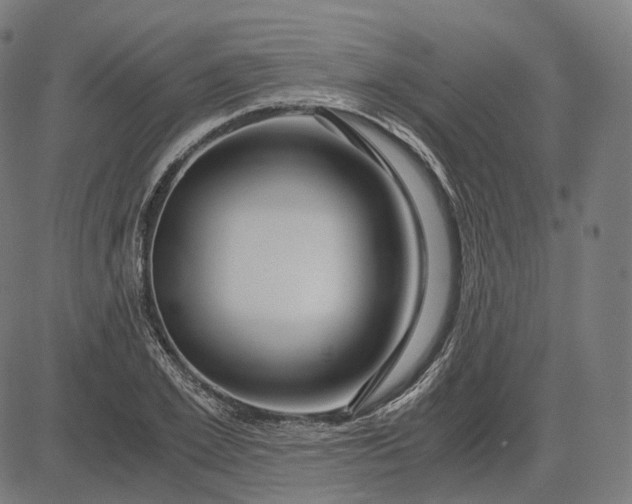 X0000084550981200703091715