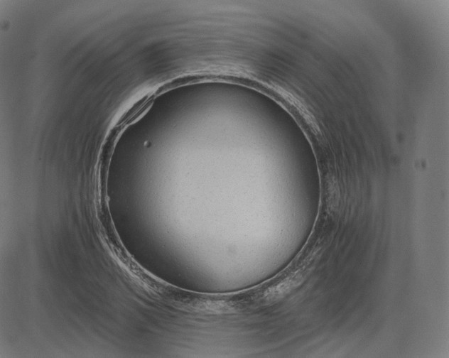 X0000084550982200703091715