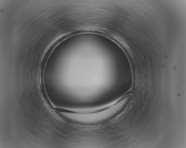 X0000084550984200703091715