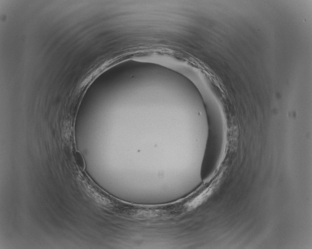 X0000084550985200703091715