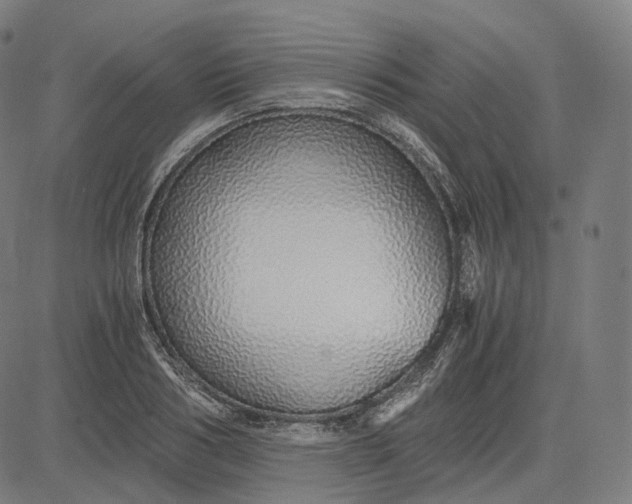 X0000084550986200703091715