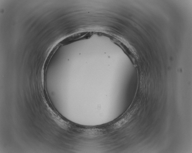 X0000084550988200703091715