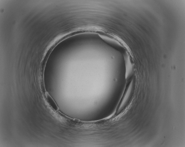 X0000084550989200703091715