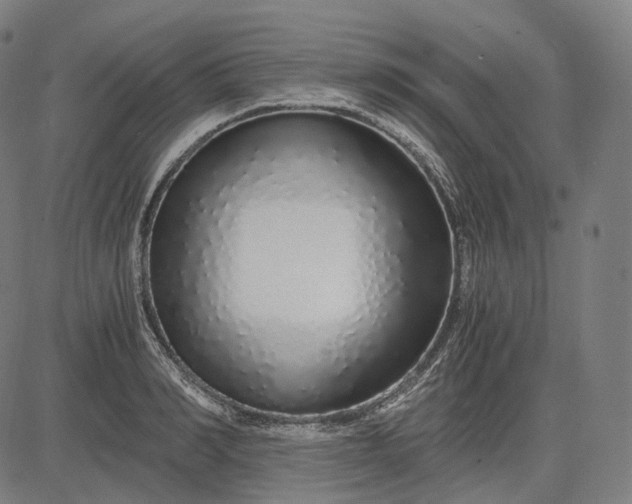 X0000084550990200703091715