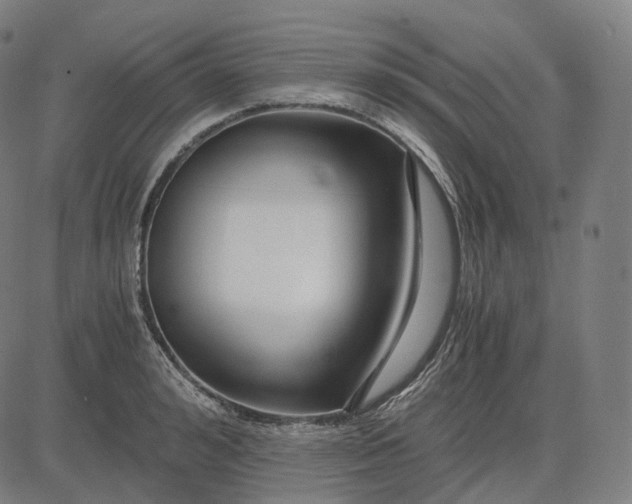 X0000084550992200703091715