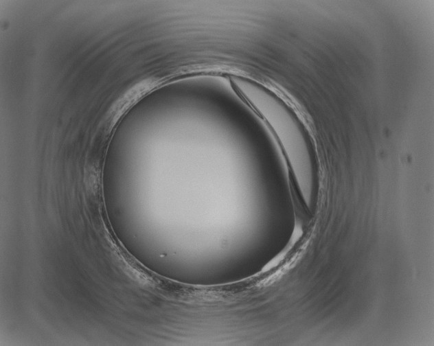 X0000084550993200703091715