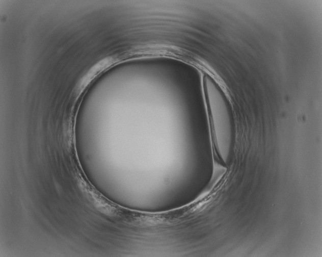 X0000084550994200703091715