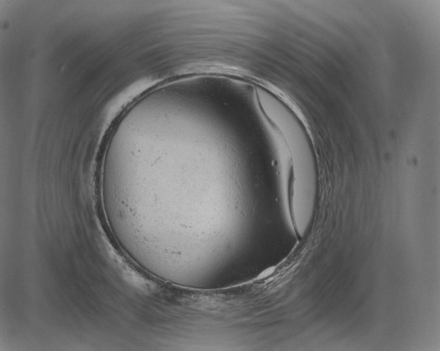 X0000084550995200703091715