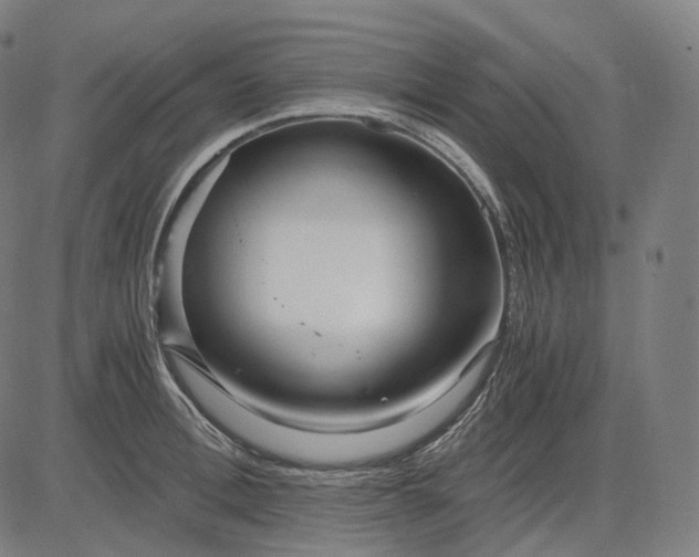 X0000084550996200703091715