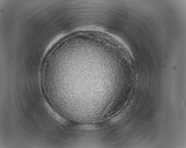 X0000084550998200703091715