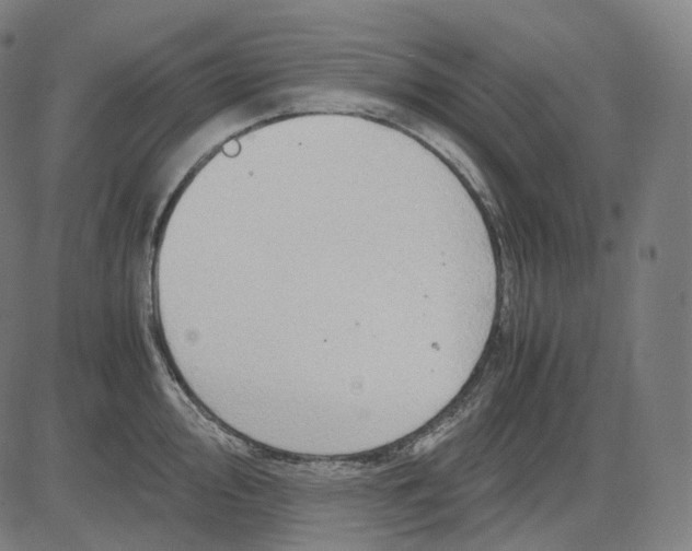 X0000084551000200703091715