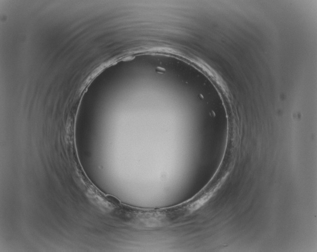 X0000084551001200703091715