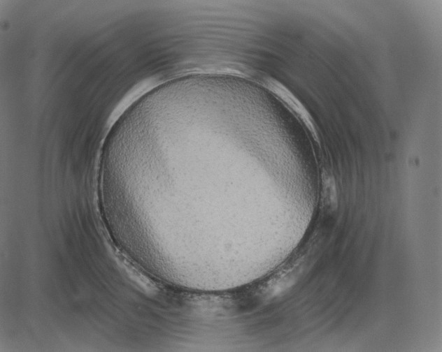 X0000084551002200703091714