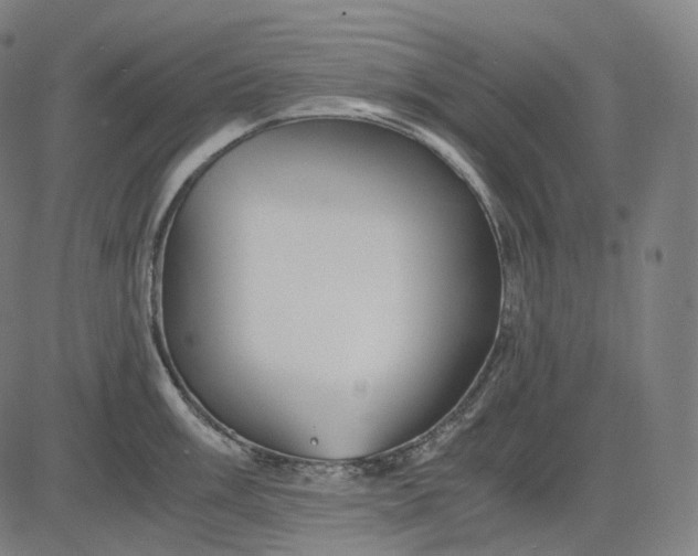 X0000084551003200703091714