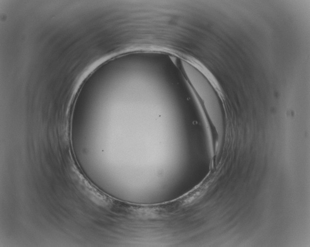 X0000084551004200703091714