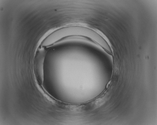 X0000084551005200703091714