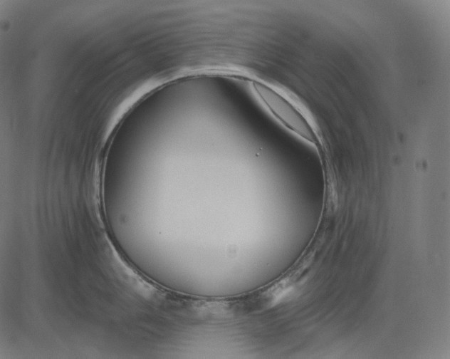 X0000084551006200703091714