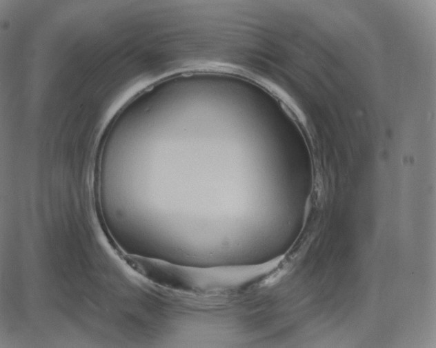 X0000084551007200703091714