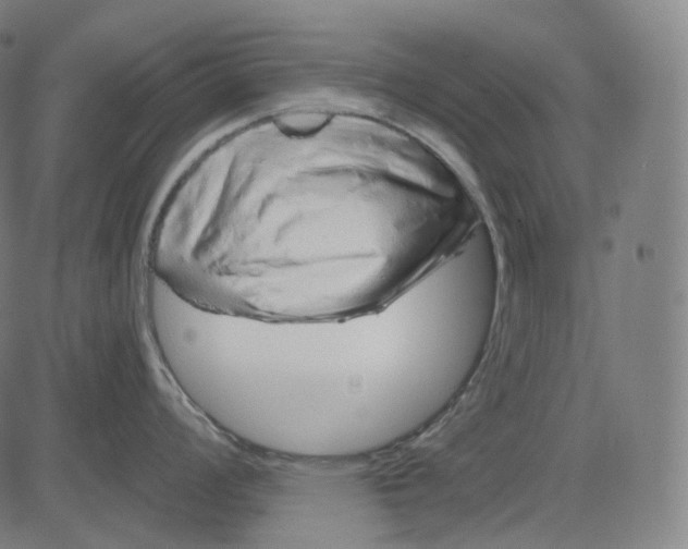 X0000084551008200703091714