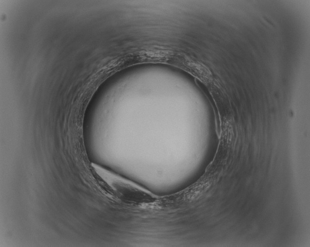 X0000084551009200703091714