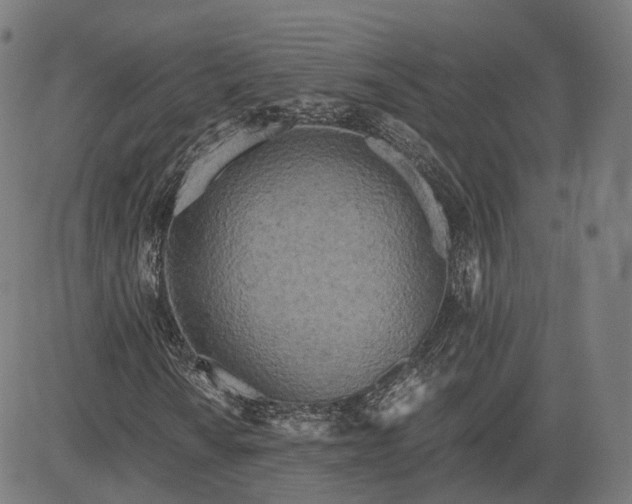 X0000084551010200703091714