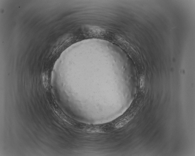 X0000084551011200703091714