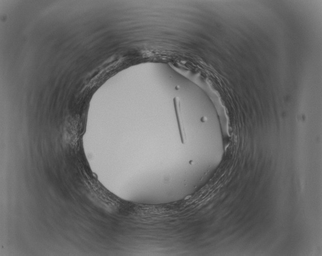 X0000084551012200703091714