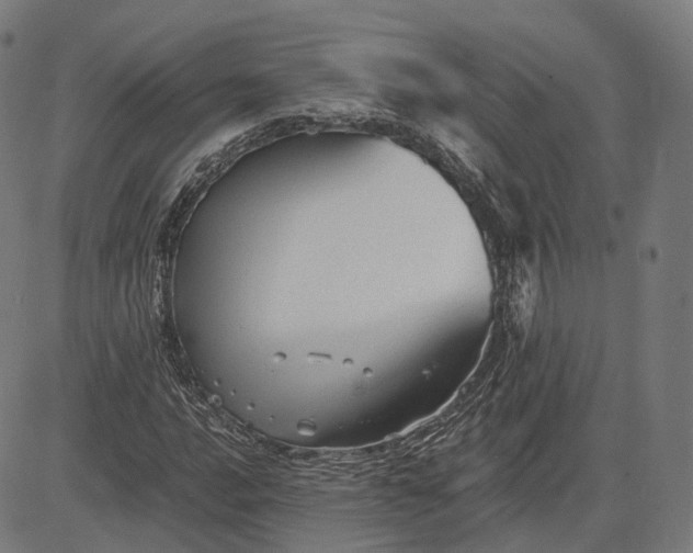 X0000084551016200703091714