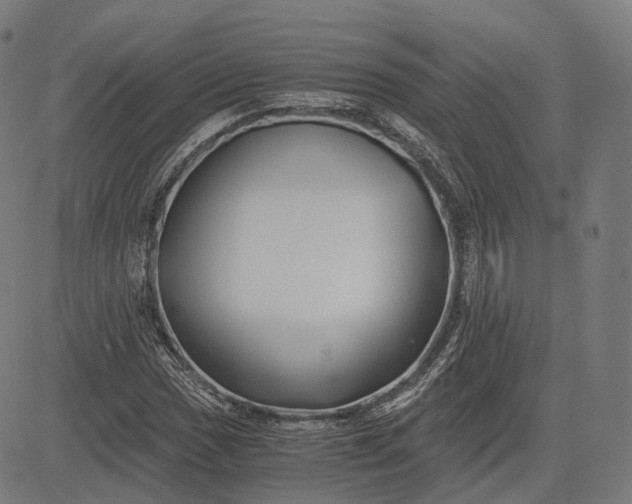 X0000084551017200703091714