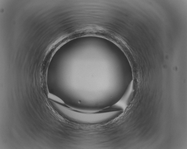 X0000084551018200703091714