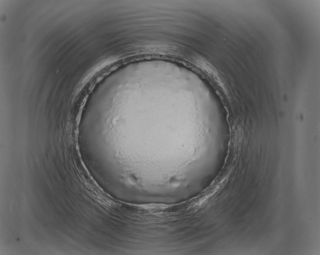 X0000084551019200703091714