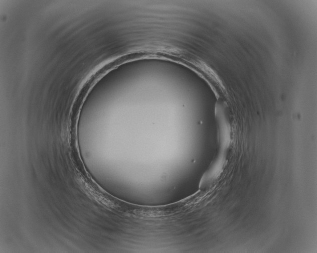 X0000084551020200703091714