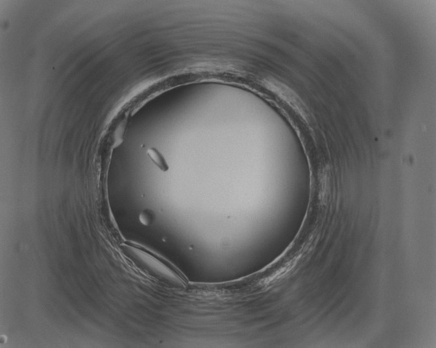 X0000084551021200703091714