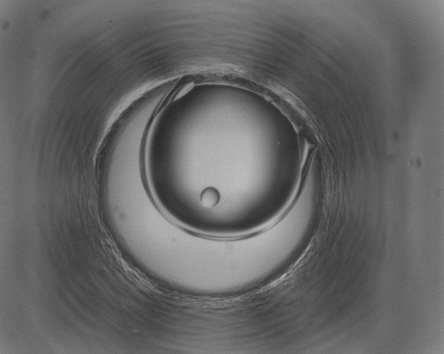 X0000084551022200703091714