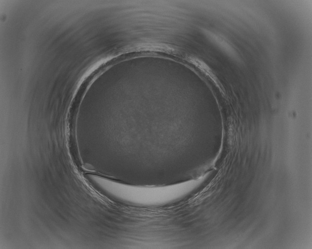 X0000084551024200703091714