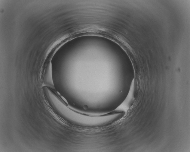 X0000084551026200703091714