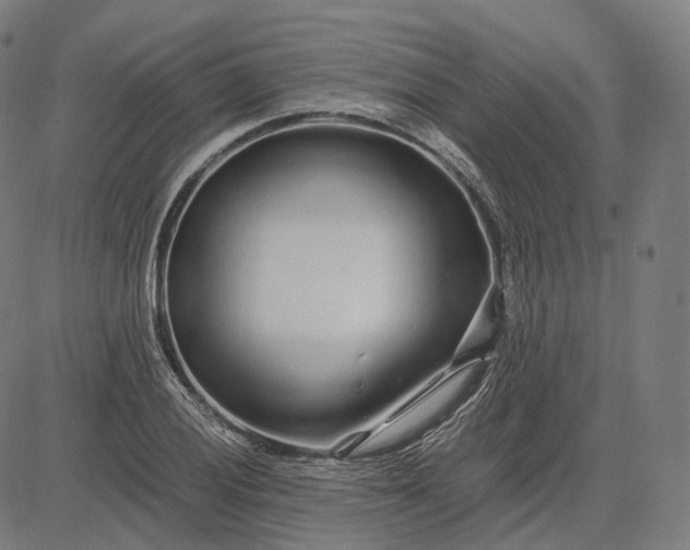 X0000084551028200703091714