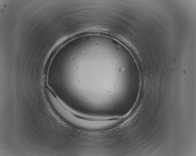 X0000084551029200703091714