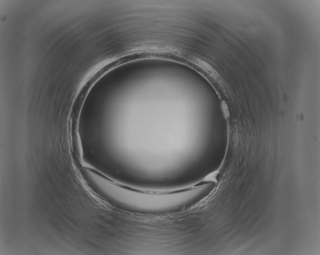 X0000084551030200703091714