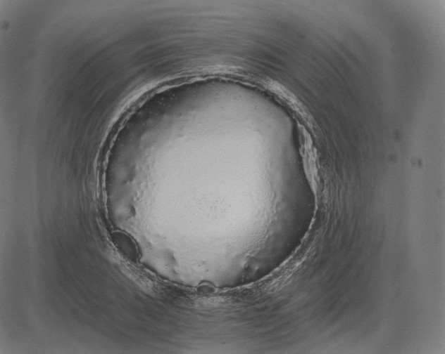 X0000084551031200703091714