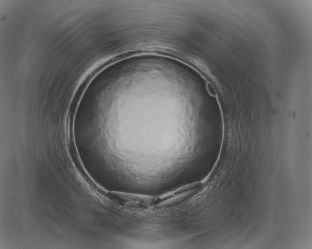 X0000084551032200703091714