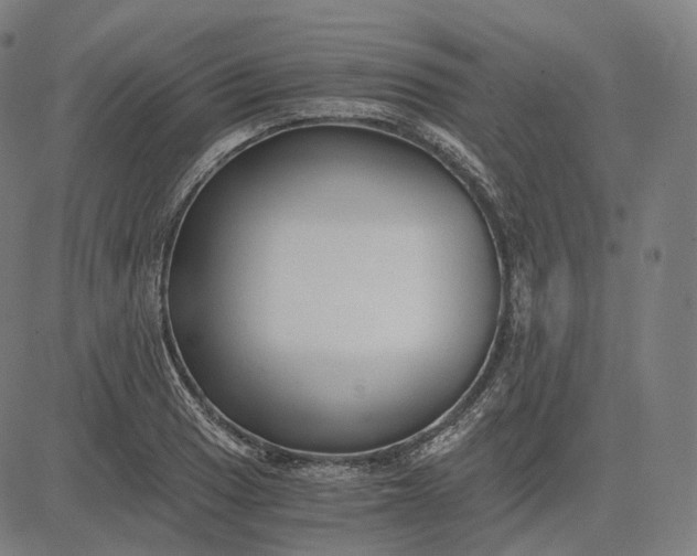 X0000084551033200703091714