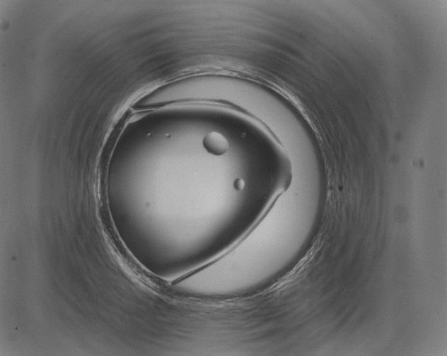 X0000084551034200703091714