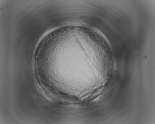 X0000084551035200703091714