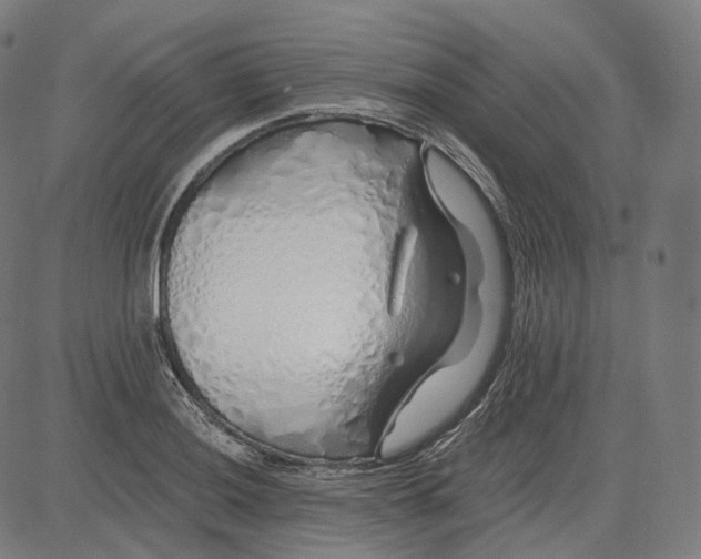 X0000084551036200703091714