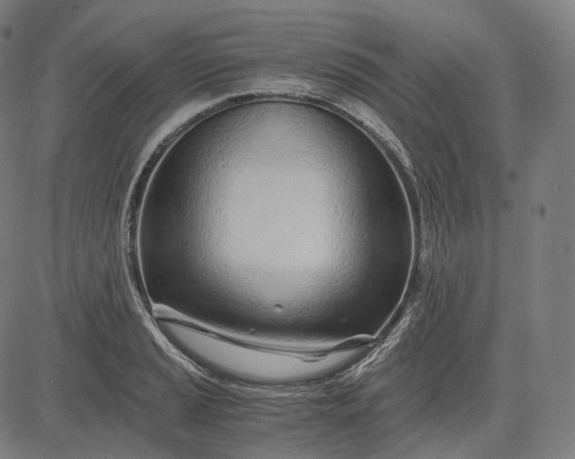 X0000084551037200703091714